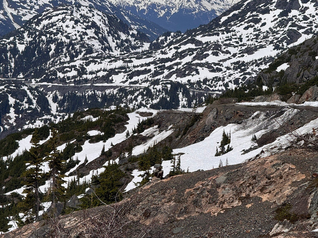 Whitecap to Icecap Adventures-Stewart必去景点