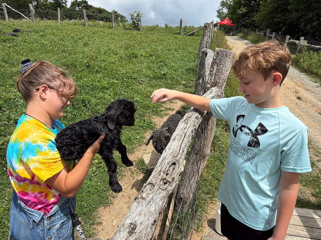 Apple Hill Farm-Banner Elk必去景点