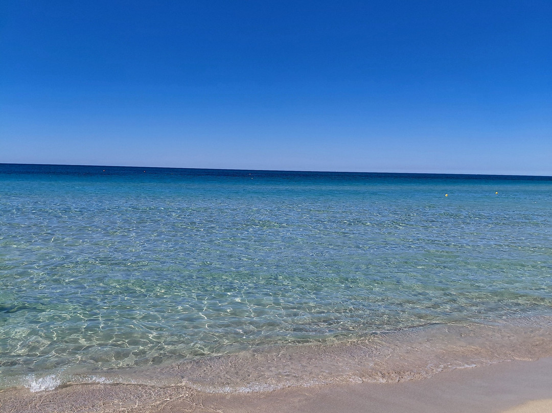 Costa del Salento - Cdshotels主图