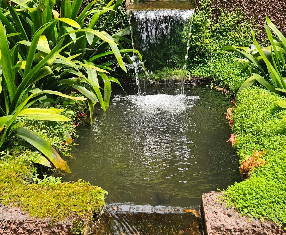 Monte Palace Madeira-沙尔必去景点