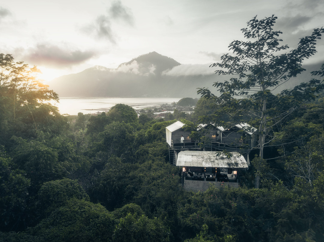 Nirata Treehouse