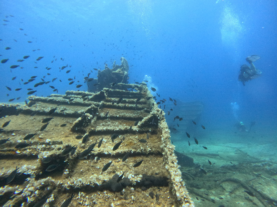 Seahorse Dive Center-瓦里必去景点