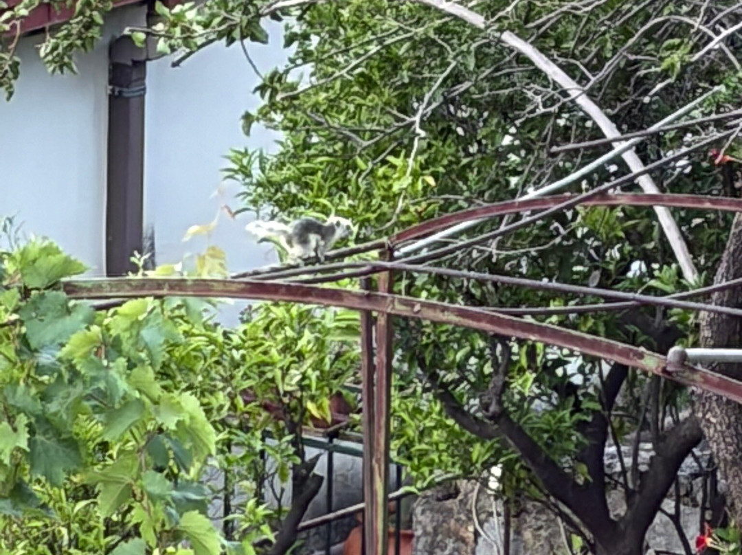 罗曼蒂克企鹅塔埃利特餐厅酒店主图