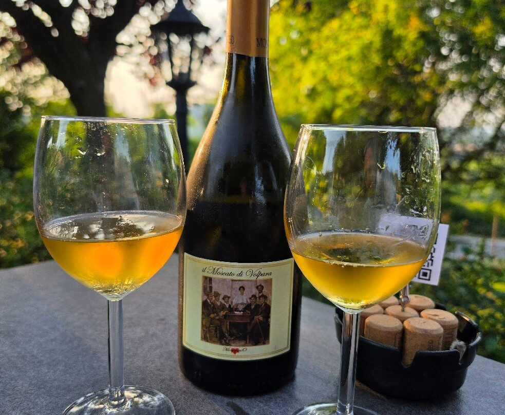 Il Tempio del Moscato-Volpara必去景点