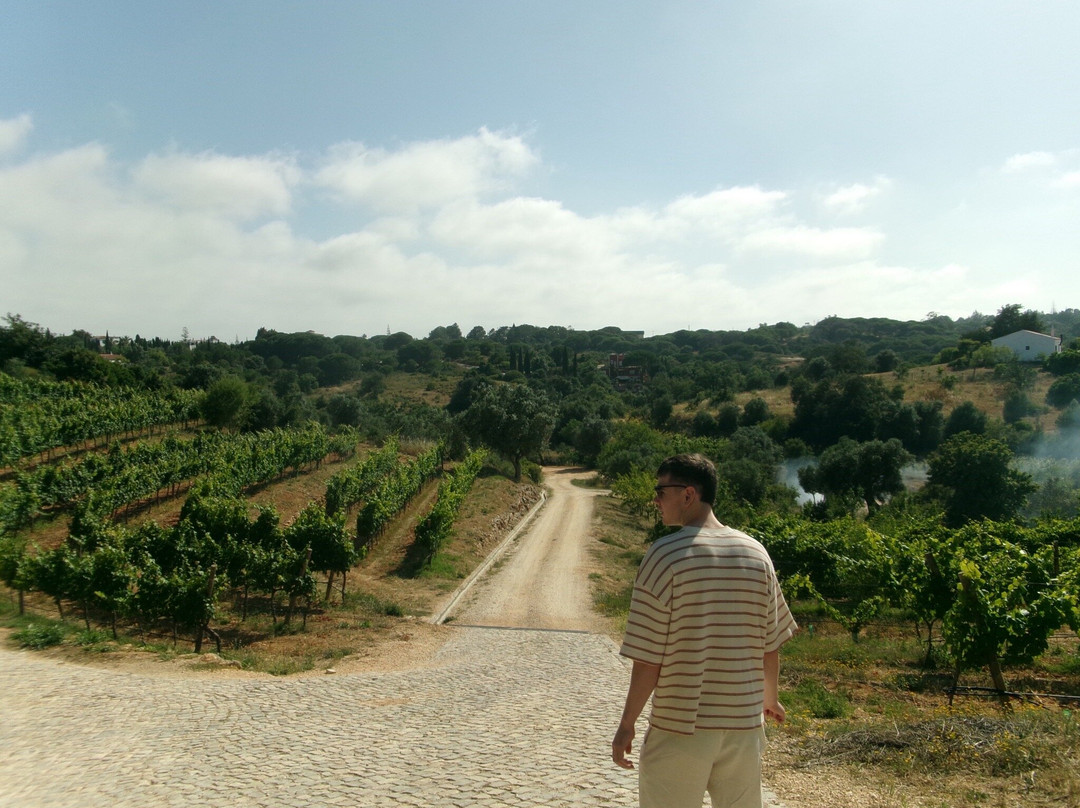 Quinta Dos Capinhas-Porches必去景点