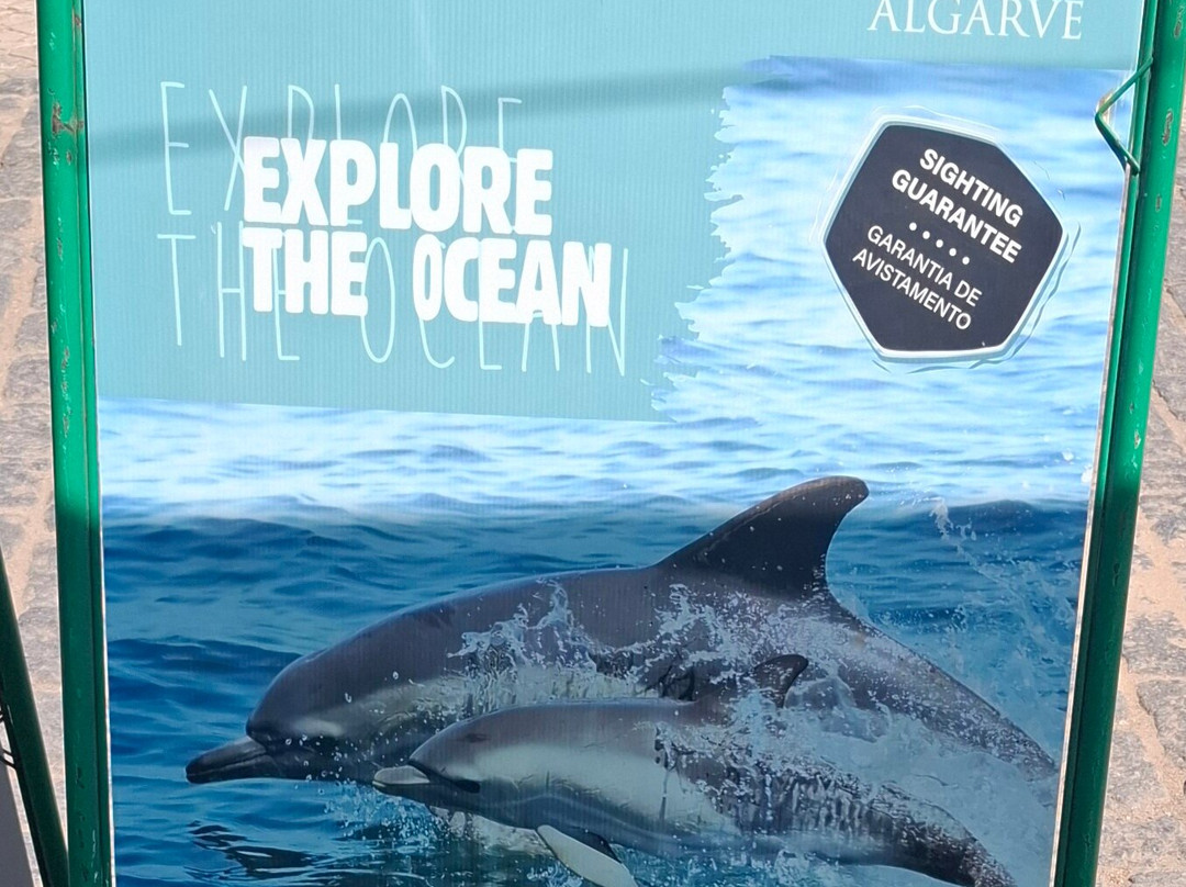 Wildwatch Algarve-费拉古多必去景点