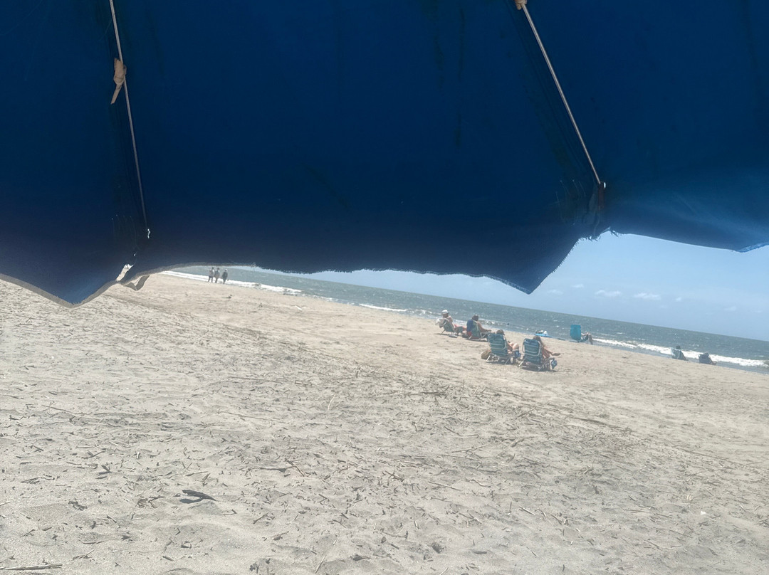 Isle of Palms Beach Chair Company-棕榈岛必去景点
