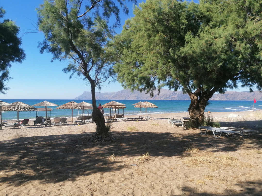 Naya Beach Bar Restaurant