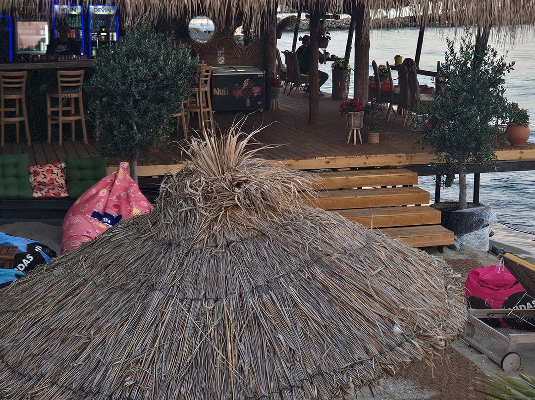 Extreme Surf School and Bar Ravda
