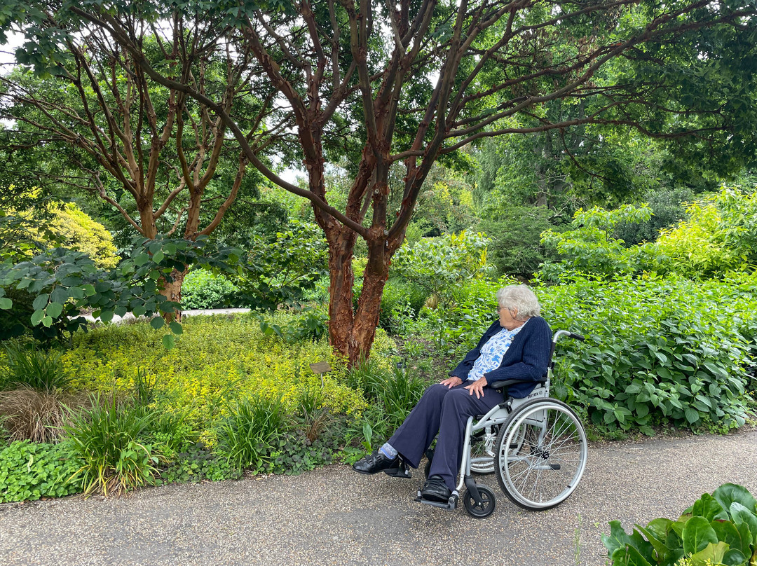 Sir Harold Hillier Gardens-罗姆西必去景点