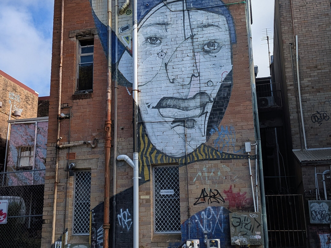 Street Art Walk - by Street Art Murals Australia-卡通巴必去景点