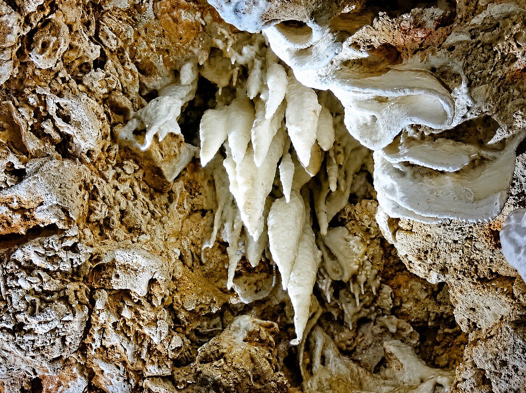Go Caving Bonaire-Kralendijk必去景点