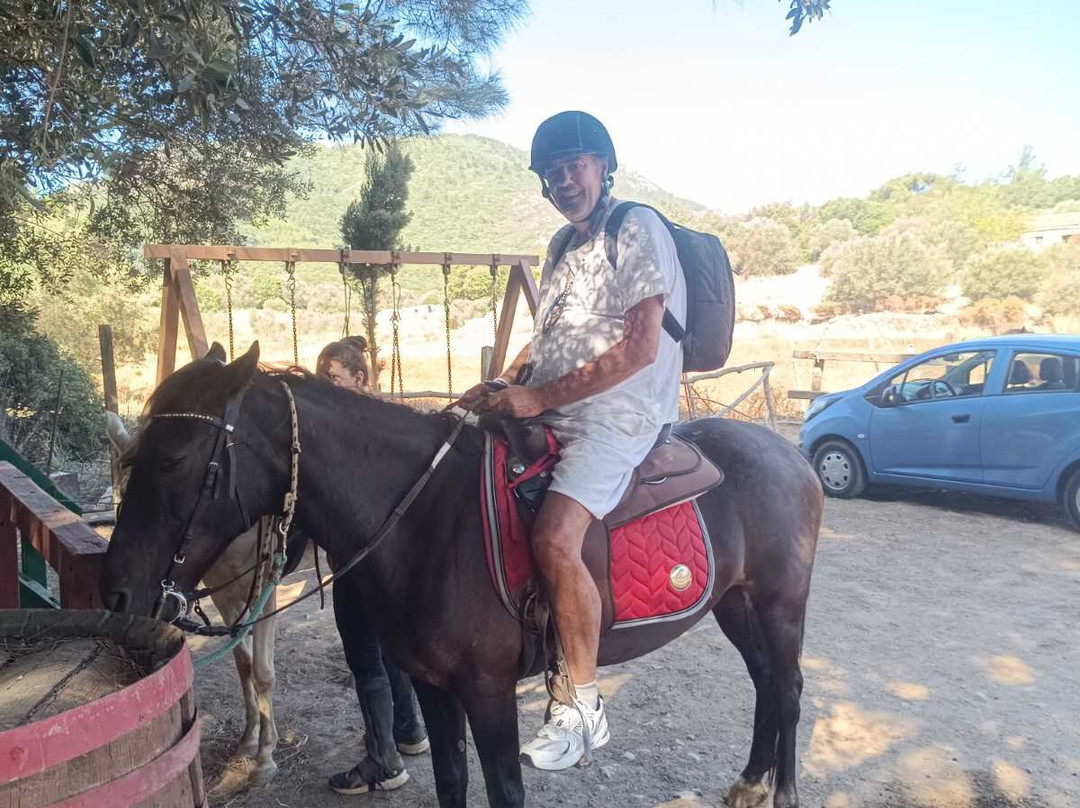 Panouris Ranch-Samos Town必去景点