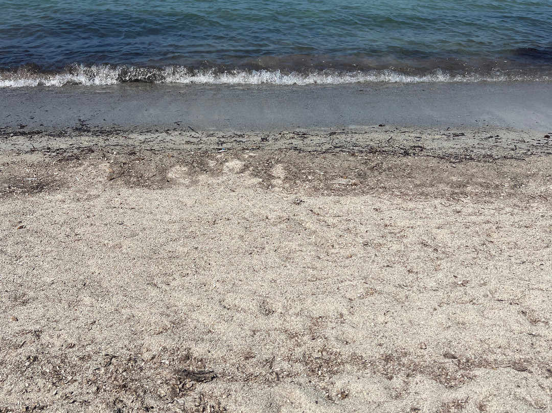 Spiaggia di Marinella-Golfo Aranci必去景点