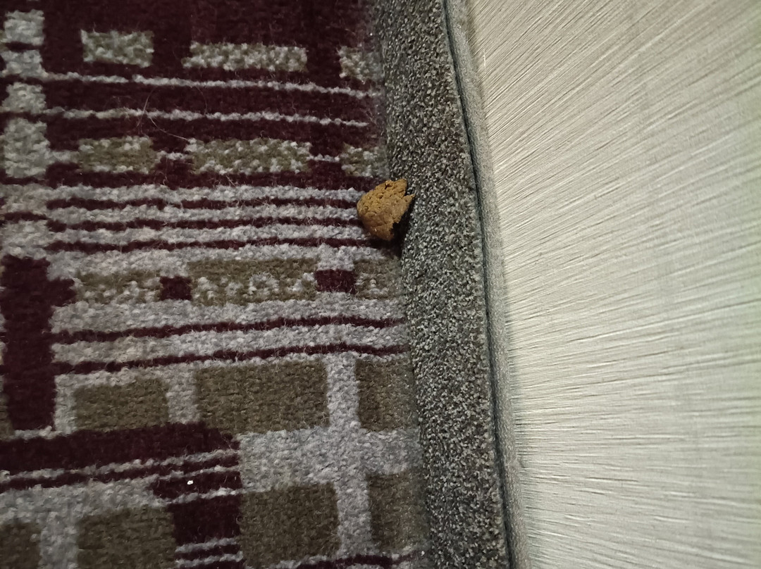 Residence Inn Cleveland Beachwood主图