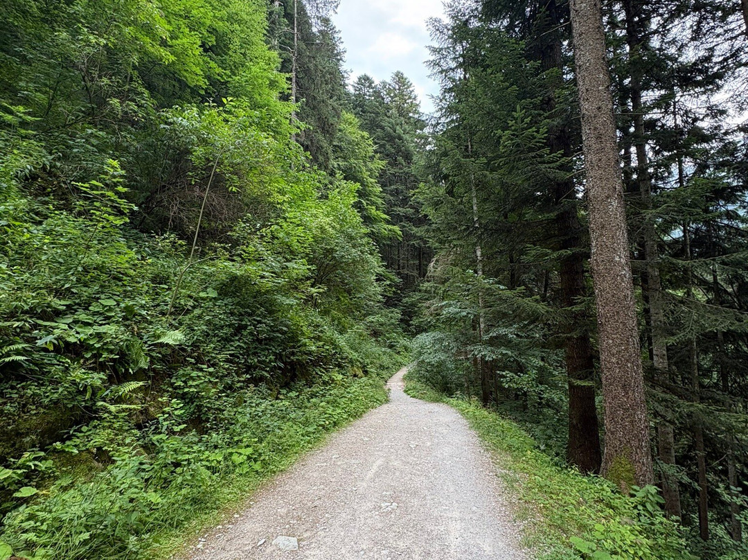莫尔韦诺湖-莫尔韦诺必去景点