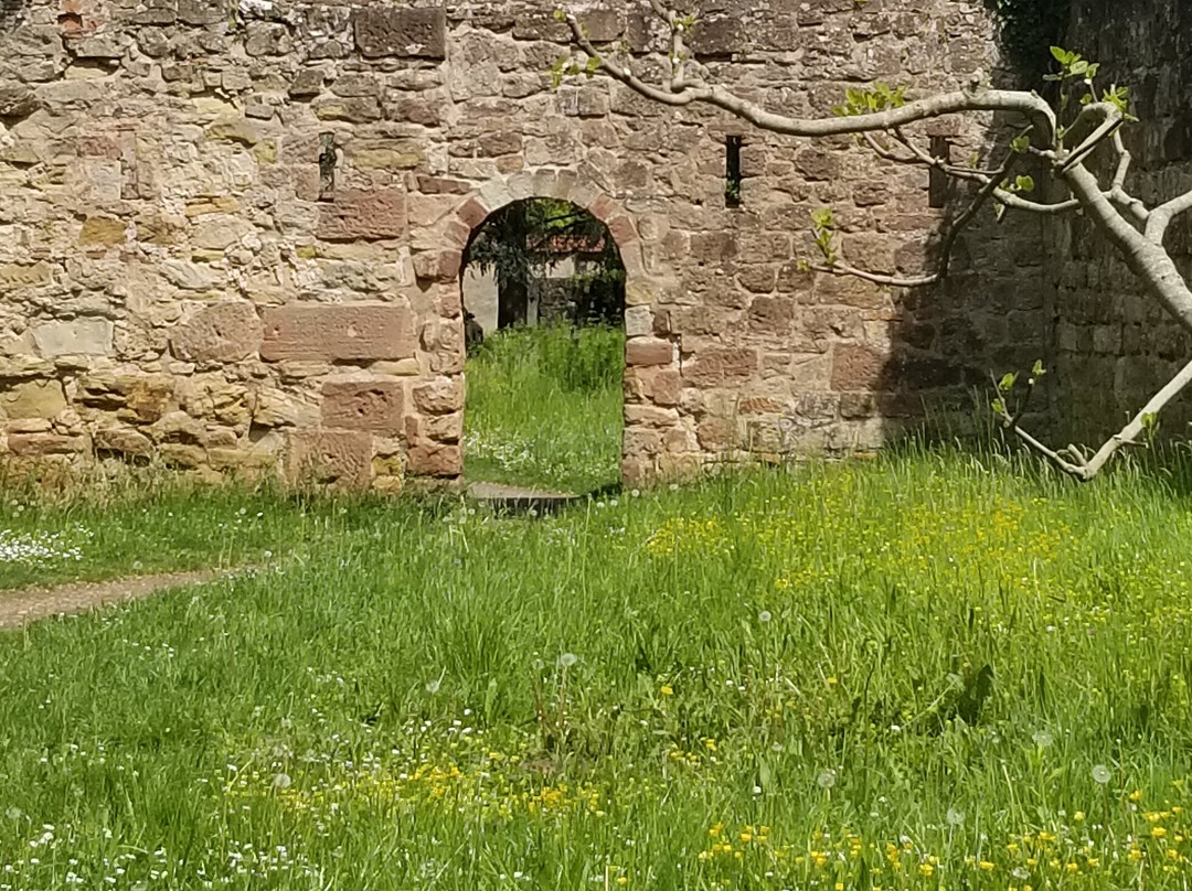 Wissembourg Ramparts-维桑堡必去景点