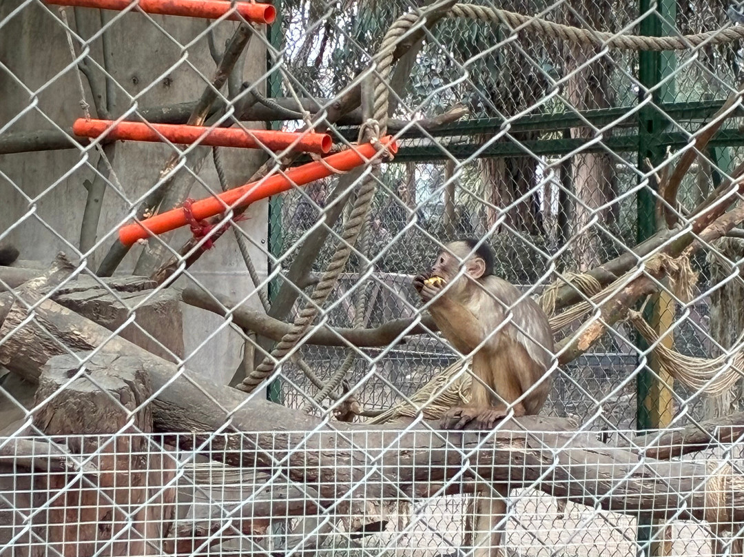 Parque Safari-兰卡瓜必去景点