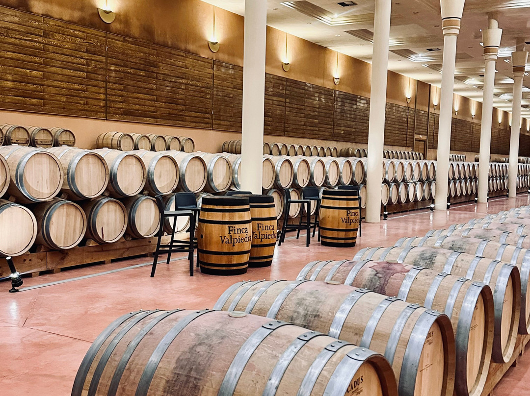 Bodega Finca Valpiedra-Fuenmayor必去景点