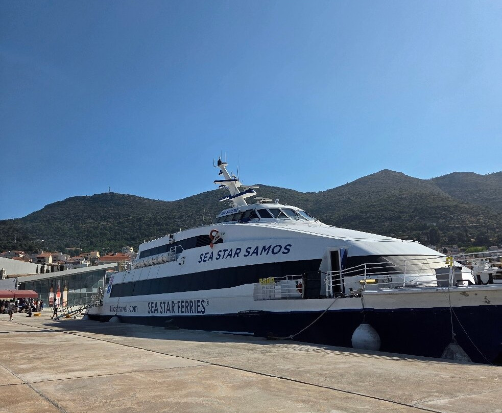 Samos-Samos Town必去景点
