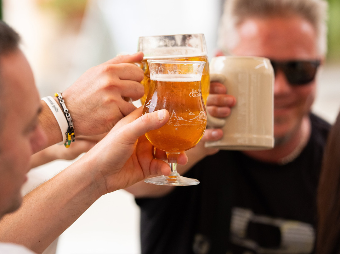 Birreria Audiner