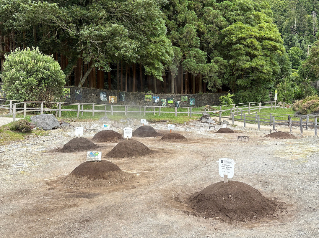 Caldeira das Furnas-富尔纳斯必去景点
