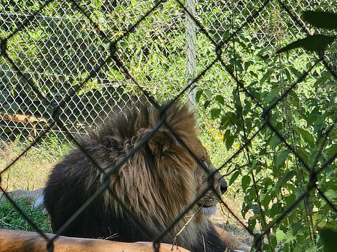 Paignton Zoo Environmental Park-佩恩顿必去景点