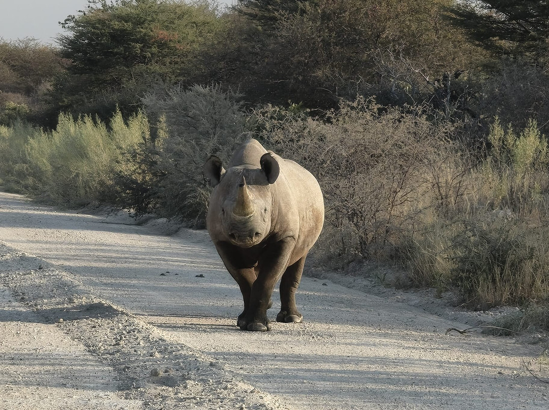 Nature Travel Namibia-温德和克必去景点
