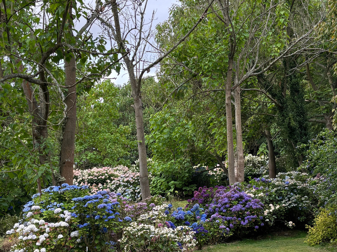 Jardin Shamrock-Varengeville-sur-Mer必去景点