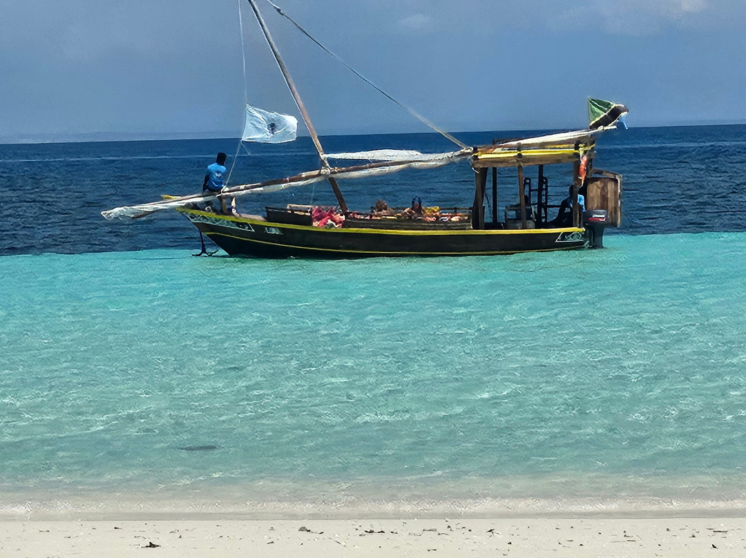 Massa Junior Zanzibar Tours & Safaris-Chwaka必去景点