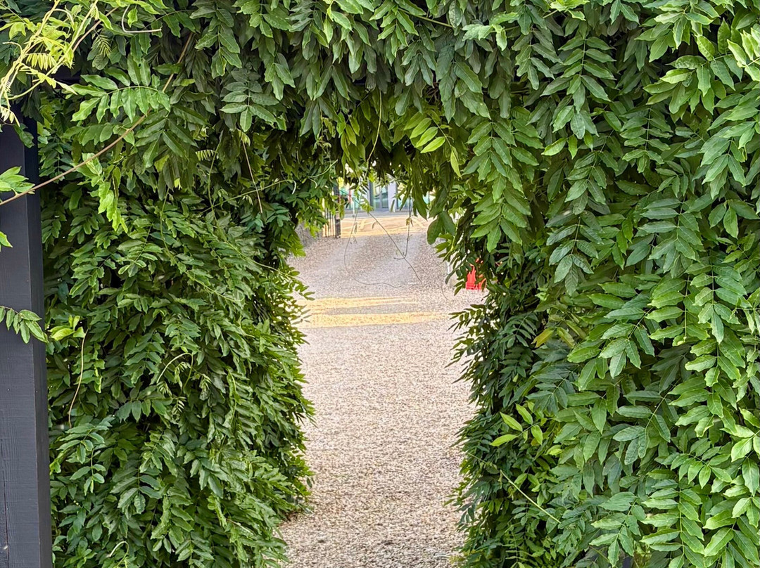 梅多赛德住宿加早餐旅馆主图