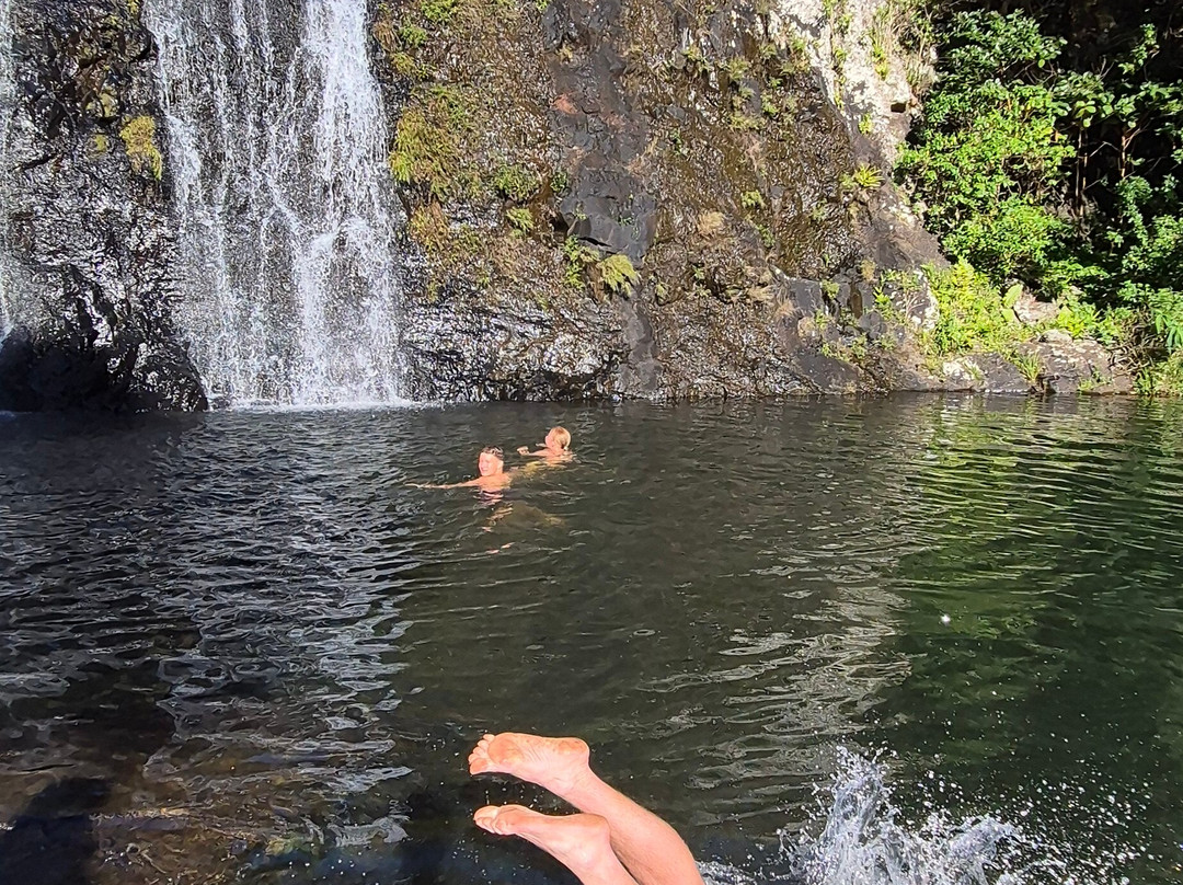 Tamarin Falls-Vacoas-Phoenix必去景点