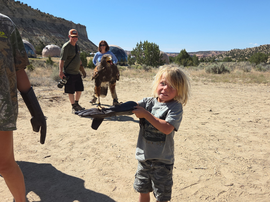 Bryce Canyon Falconry-Cannonville必去景点