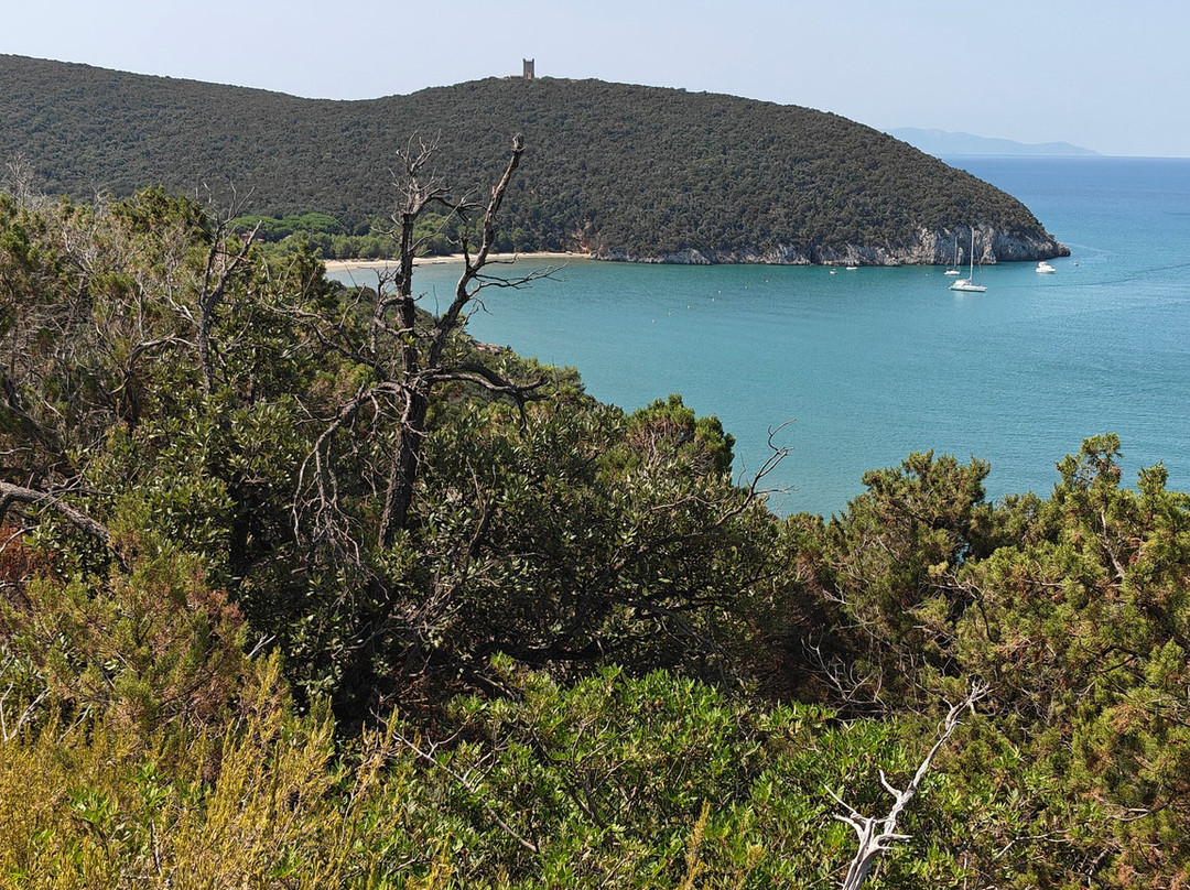 Parco Naturale della Maremma-Alberese必去景点