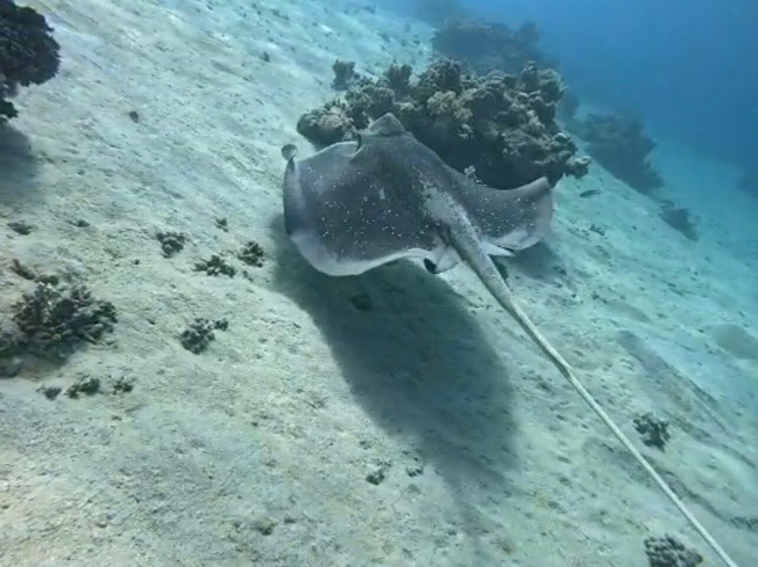Aquarius Diving Club-马卡迪湾必去景点