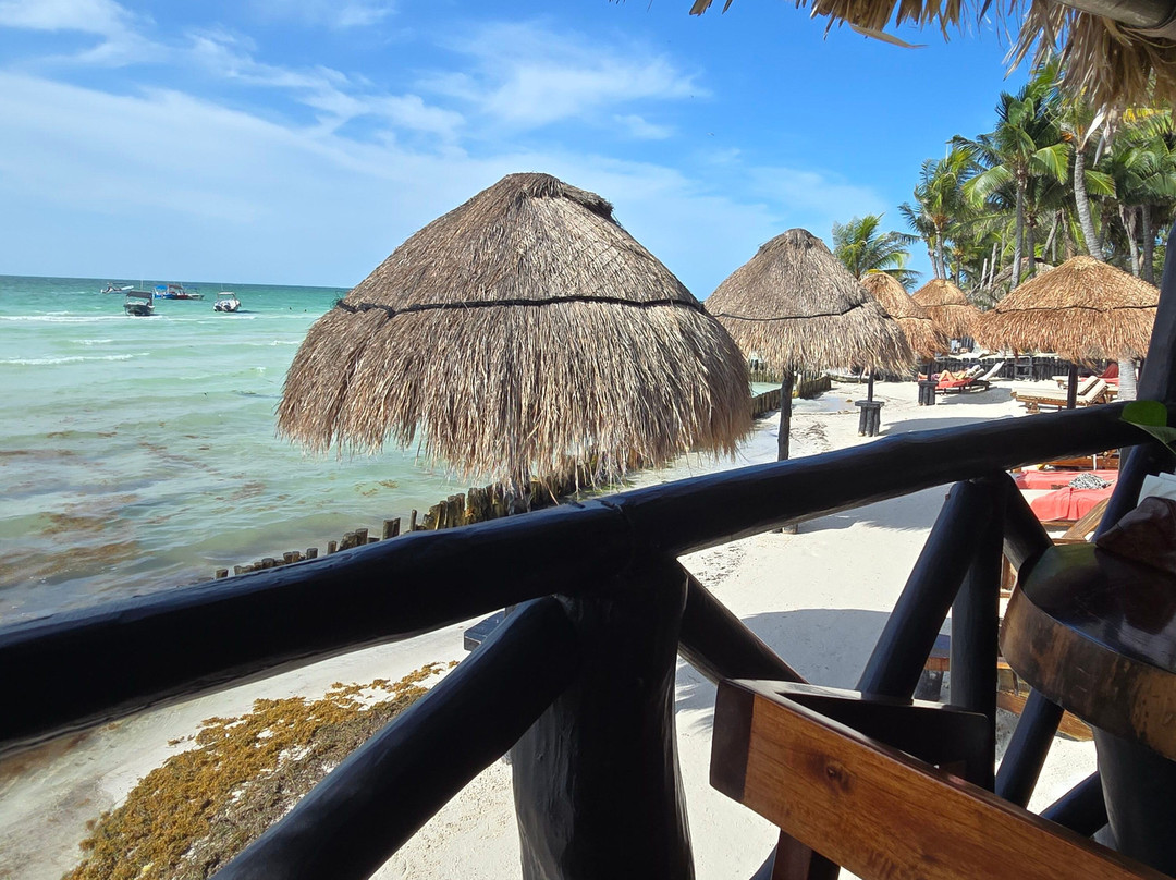 Beachfront Hotel La Palapa主图