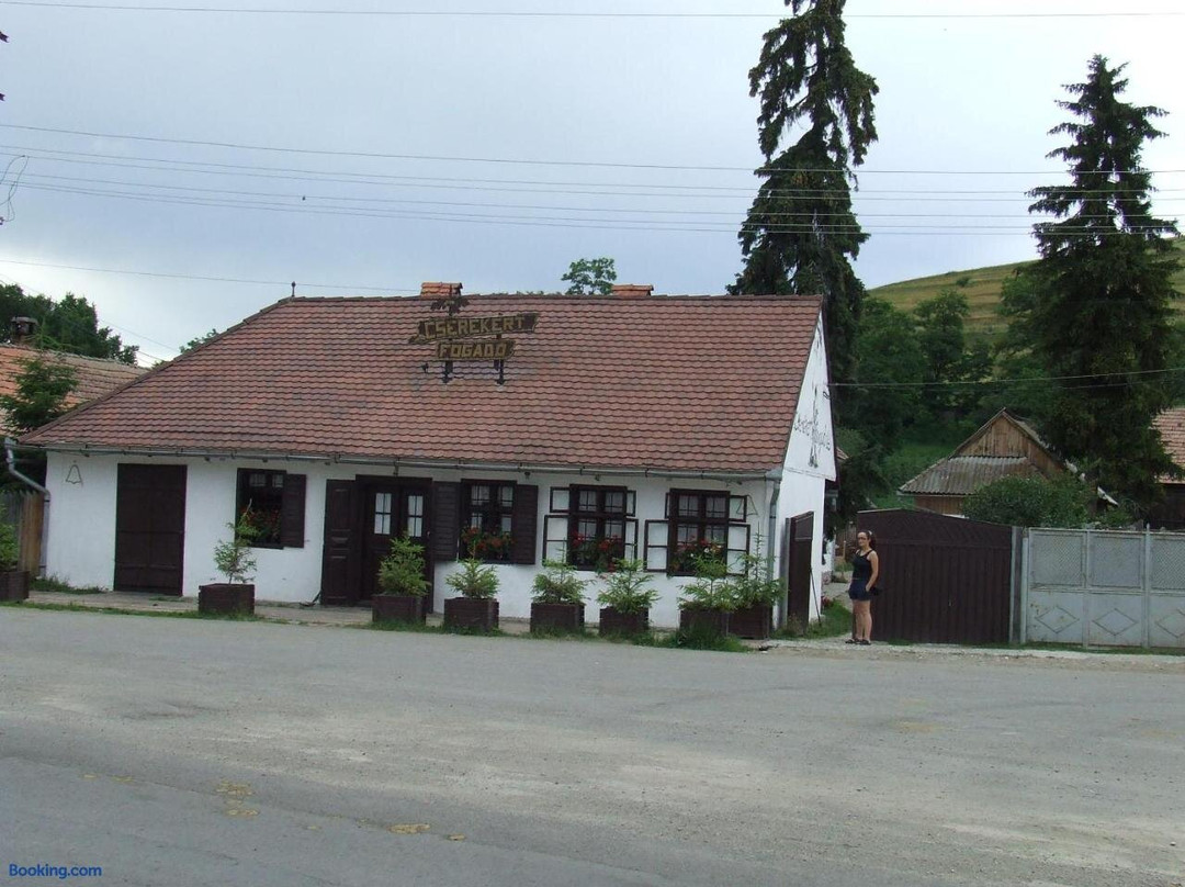 Cserekert, Alszegi Porta