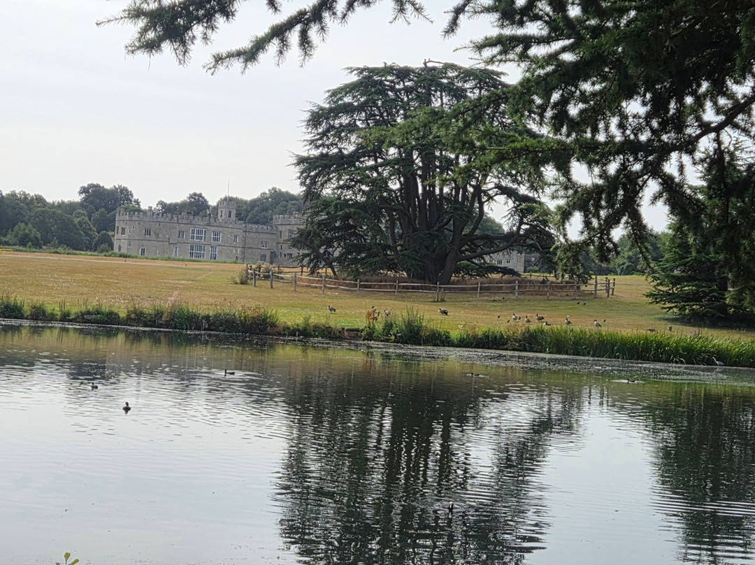 Leeds Castle Segway Tours-梅德斯通必去景点