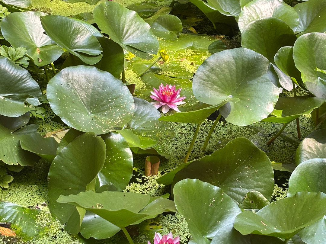 Les Jardins Tranquilles-Brantome en Perigord City必去景点