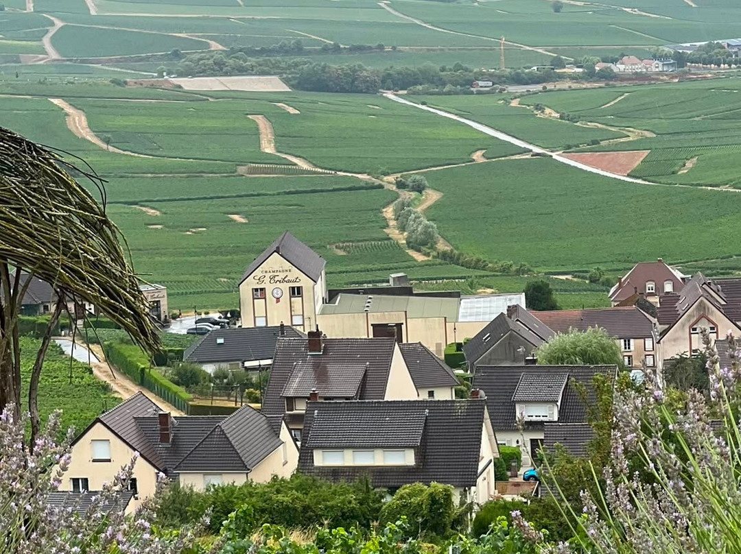 Manoir François du Tilleul - Reims - Fismes主图