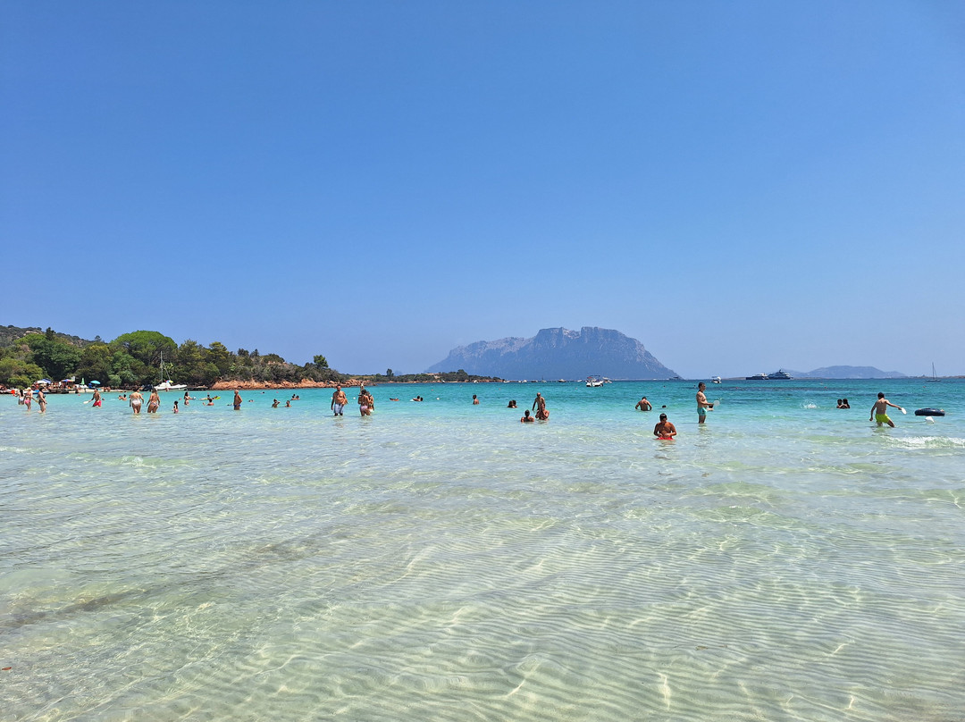 Porto Istana Beach-奥尔比亚必去景点