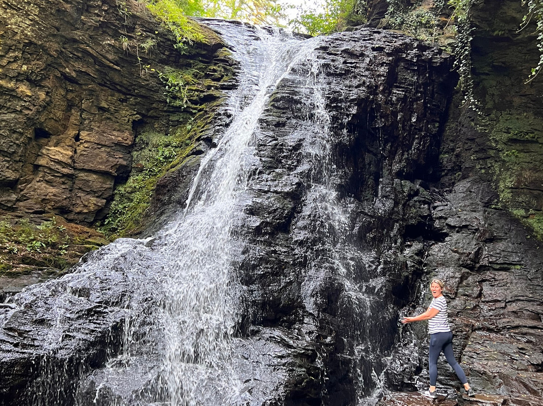Hareshaw Linn Walk-Bellingham必去景点