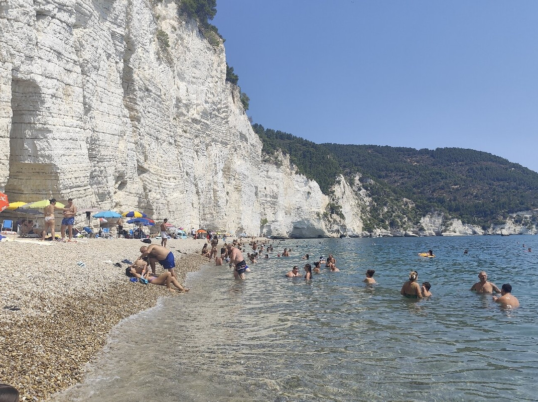 Costante Nicola Agenzia Tour Delle Grotte-佩斯基奇必去景点
