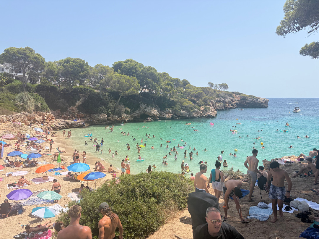 Cala Esmeralda Beach-卡拉多尔必去景点