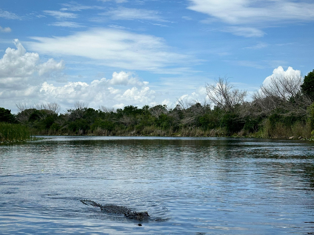 Everglades Holiday Park-劳德代尔堡必去景点