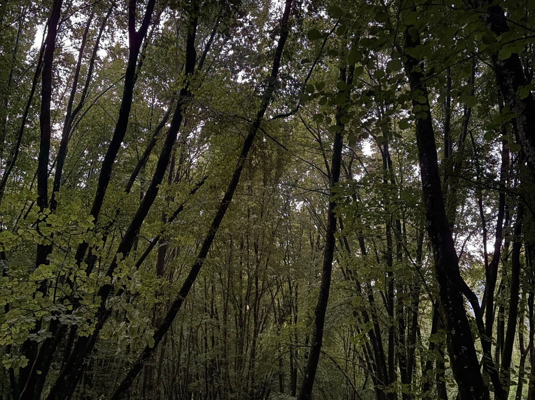 Riserva Naturale Zompo lo Schioppo-Morino必去景点