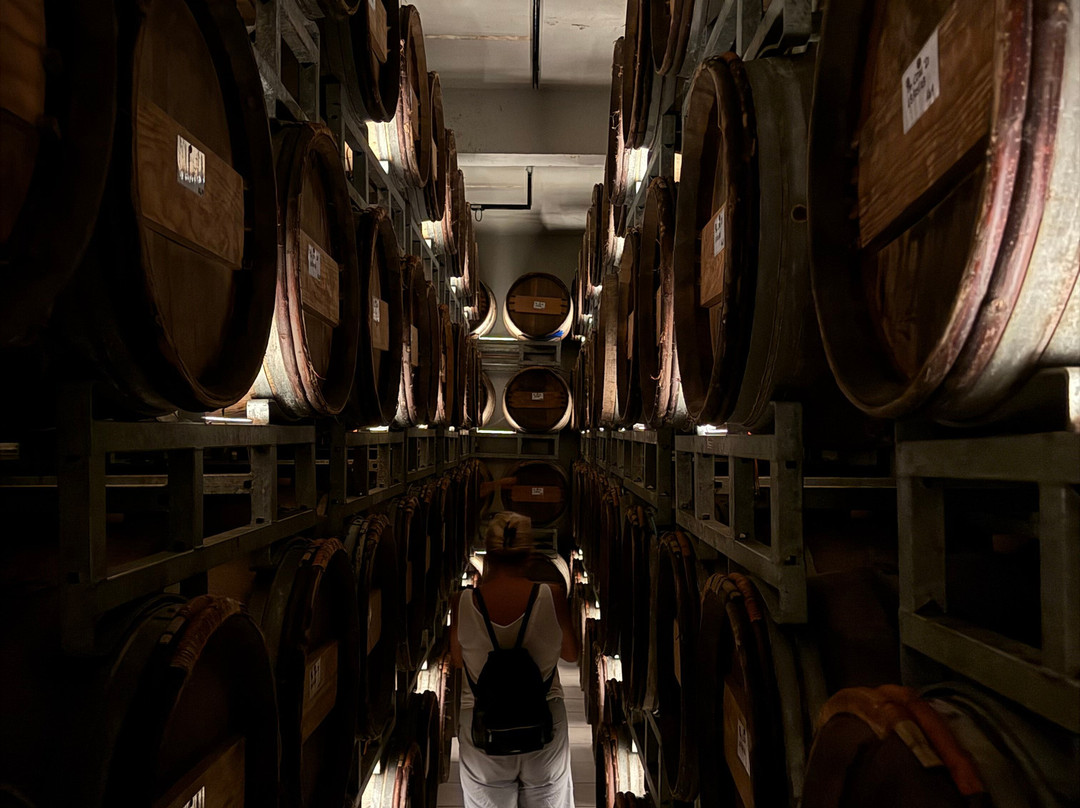 Lambouri Winery-Kato Platres必去景点