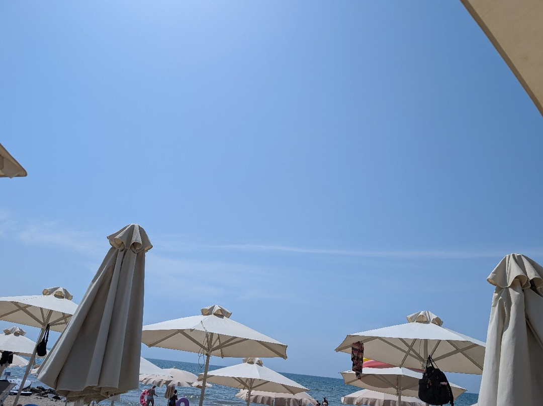 Delight Hotel & Spa
