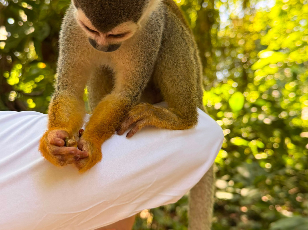 迪佳美隆迪卡洛奇提库纳酒店主图
