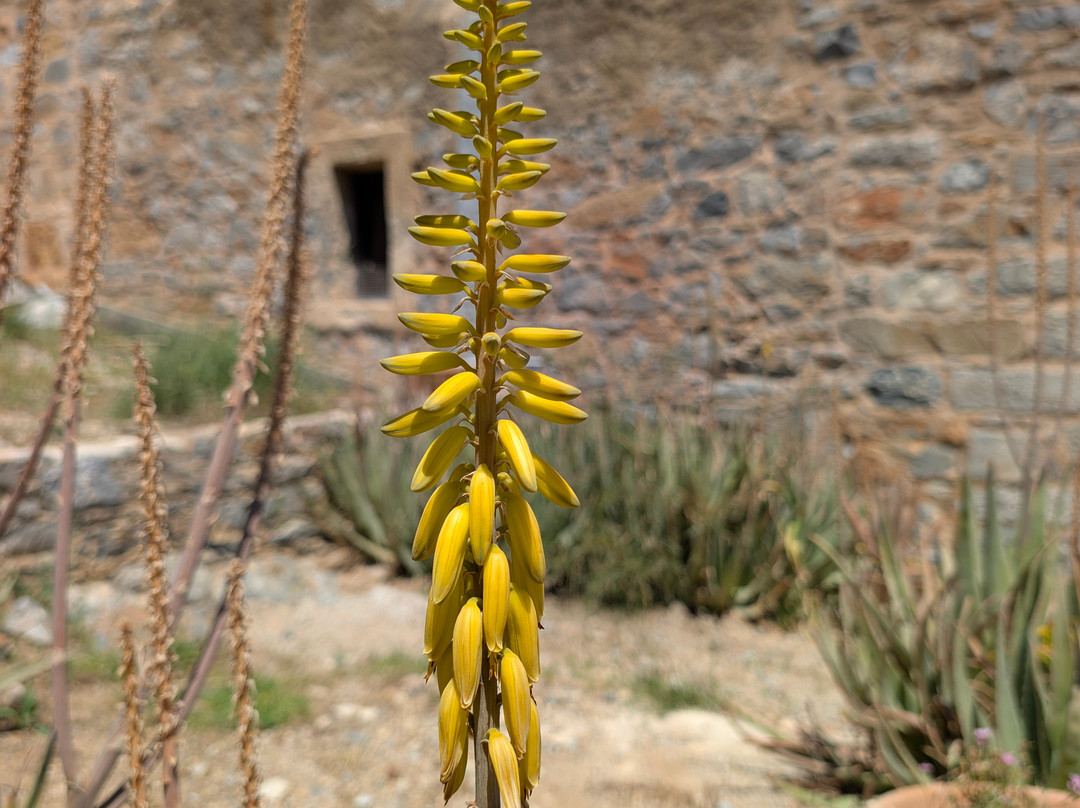 史宾纳隆加（Kalydon）-Spinalonga必去景点